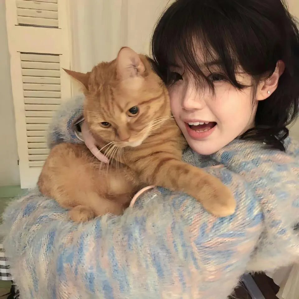 猛龙怪客4：镇压