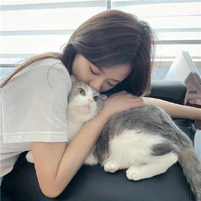 宠物情人